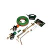 VIC0384-2113