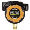VIC0781-3631